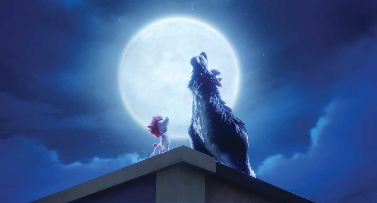 Kino-Tipps im Juli: 100% Wolf und Space Dogs