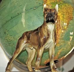 Deutsche Boxer – einst und heute