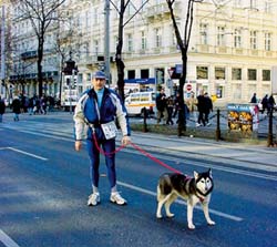 Der Wiener Silvesterlauf