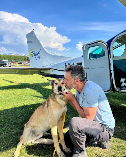 In Alaska vermisster Schlittenhund nach drei Monaten gefunden