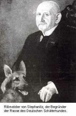 Der Deutsche Schäferhund