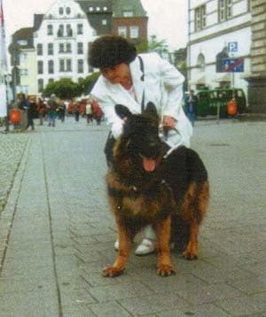 Jetzt fallen die letzten Tabus