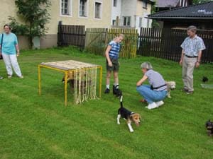 Welpenspielgruppe: