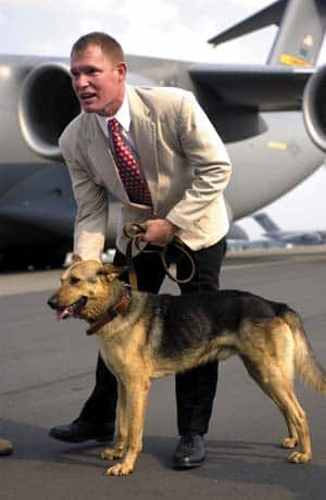 Mit der US Air Force in die USA