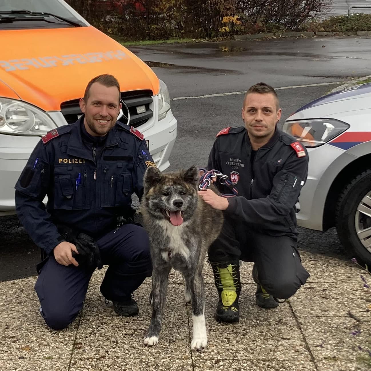 Zurückgelassener Hund aus Linzer Wohnung befreit