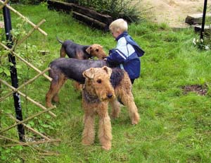 Hunde verstehen uns wie dreijährige Kinder