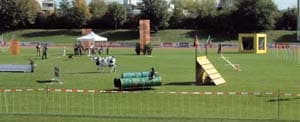 Die Mondioring Weltmeisterschaft 2003