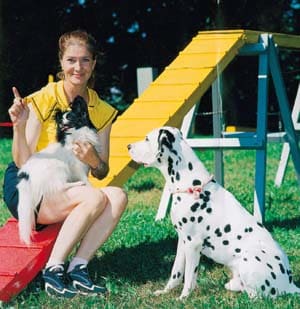 Taube Hunde: Erziehung & Sport