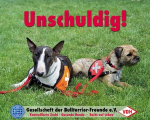 Hundeleben in Deutschland