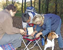 Hunde-Military: