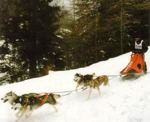 Wenn der Winter ruft …