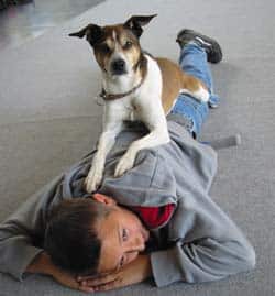 Kommt die Schule „auf den Hund“?