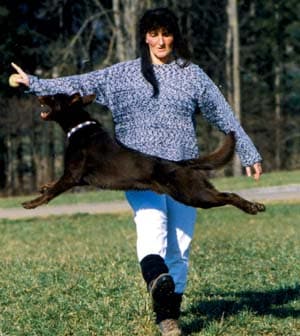 Schon was gehört von Dog Dancing?