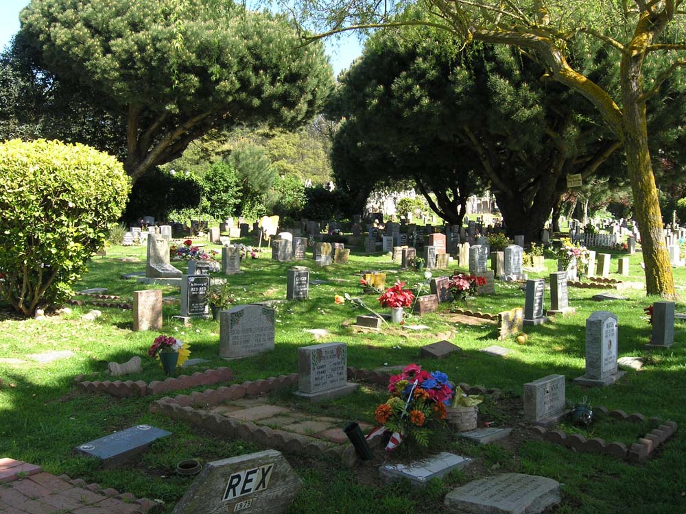 Letzte Ruhestätte: Tierfriedhöfe in San Francisco