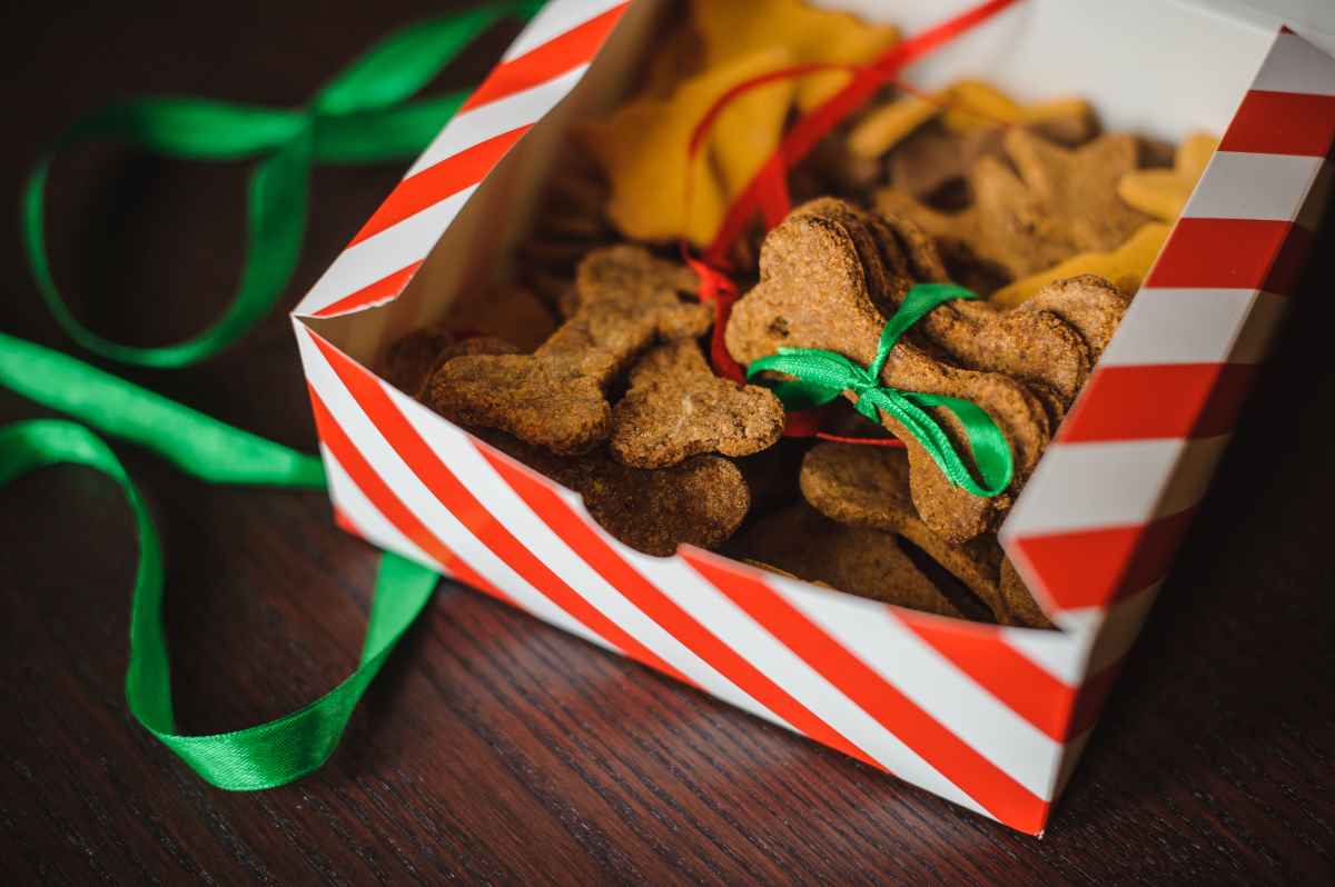 Selbst gemachte Weihnachts-Leckerlis für Haustiere