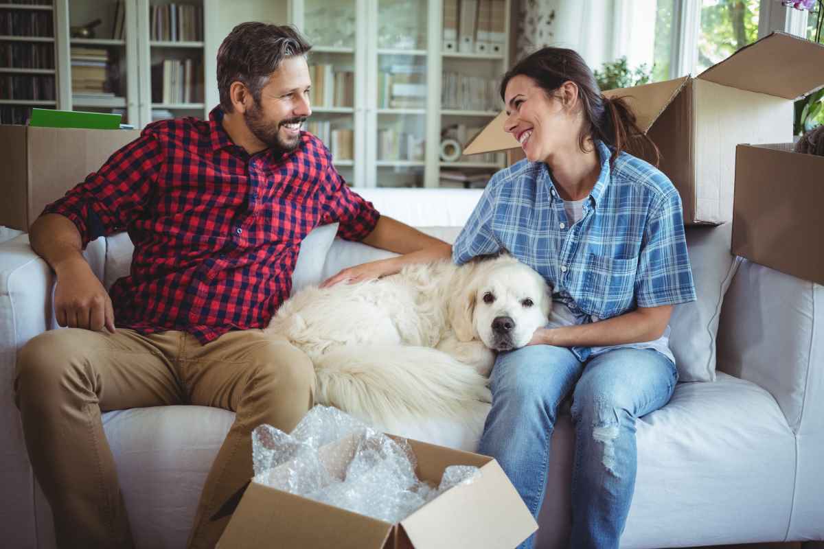 So gelingt der Umzug mit Hunden