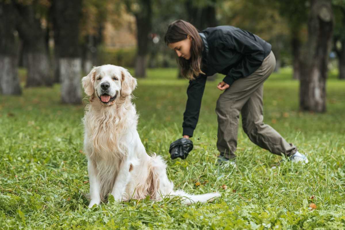 Baden bei Wien denkt an DNA-Tests für Hunde
