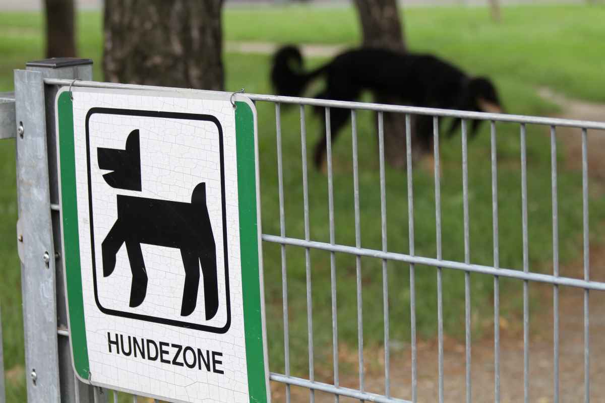46-Jähriger bedrohte Frau und trat Hund