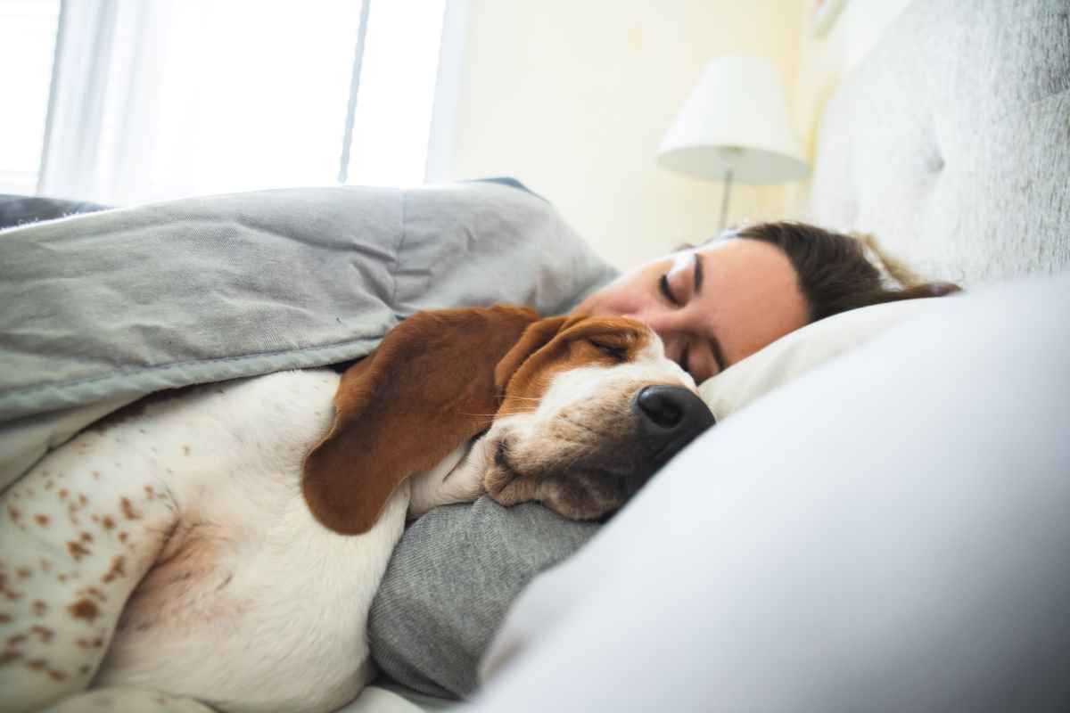 Sollen Hund oder Katze mit im Bett schlafen?