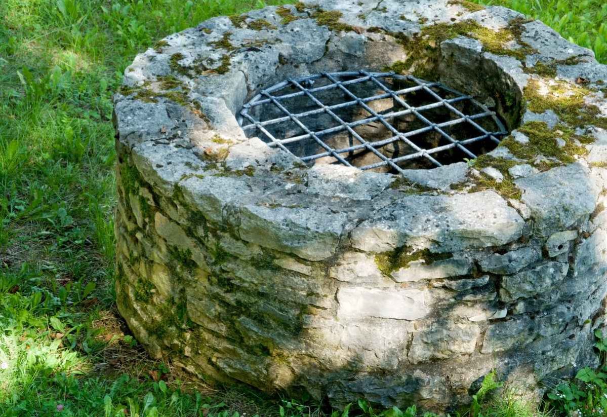 Toter Hund in Brunnenschacht: Tier ertrank nach Überlebenskampf