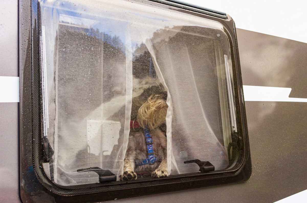 Hund sperrte Paar in Bayern aus Wohnmobil aus