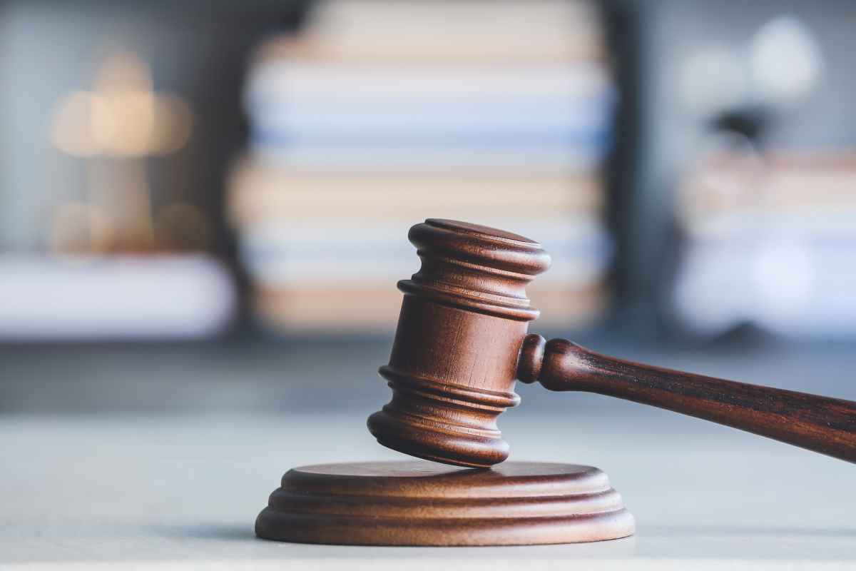58 Tiere nicht artgerecht gehalten – Burgenländerin verurteilt