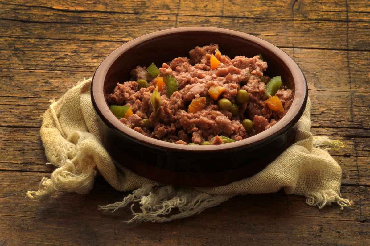 Vegane Ernährung bei Hunden – geht das?