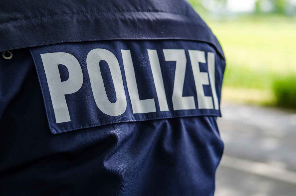 Ausgebüxter Husky von Wiener Polizisten gerettet