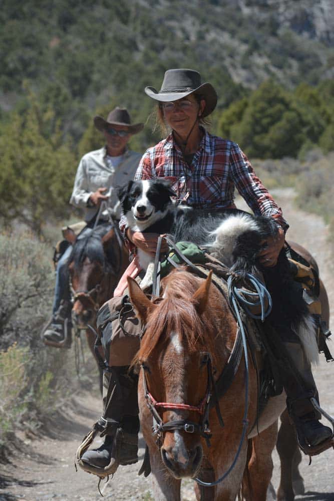 Wüsten, Steppen und wilde Pferde: Auf dem American Discovery Trail durch Nevada