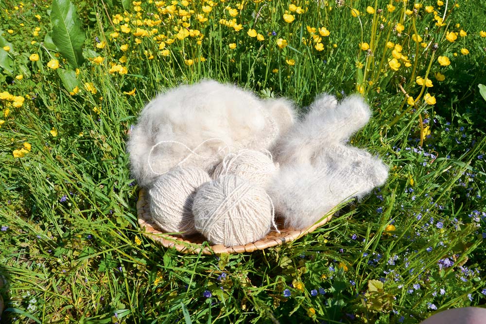 Hundewolle vom eigenen Hund