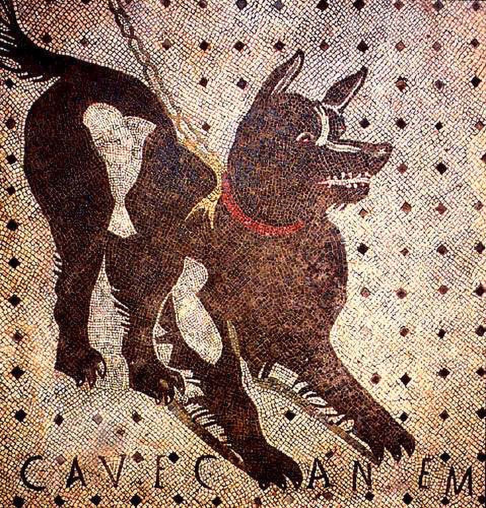 Hunde in der Antike: Aus den Tiergeschichten des Aelianus