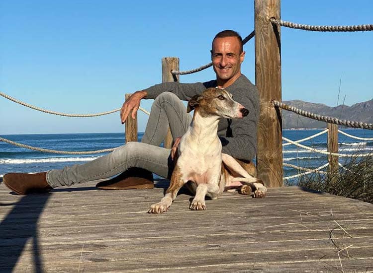 Ihr Hund braucht Sie! – Wie der Hund von Ihnen lernt