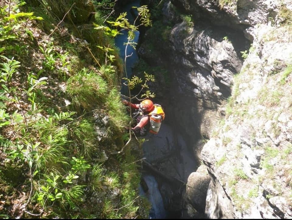 Hund in Kärnten nach Absturz aus Schlucht gerettet