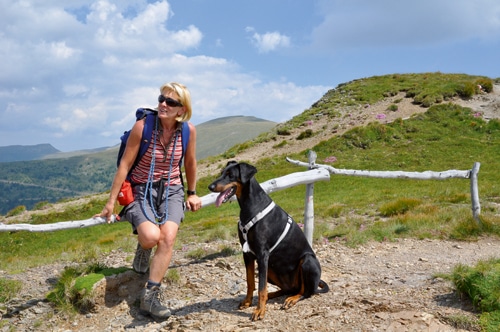 Bergwandern mit dem Hund