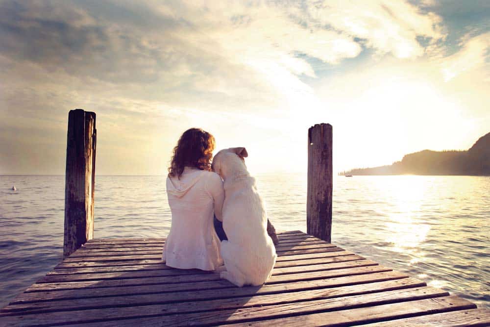 Beste Freunde – So klappt’s mit der Mensch-Hund-Beziehung