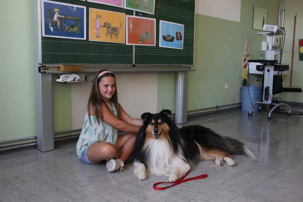 Besuchs- und Schulhunde