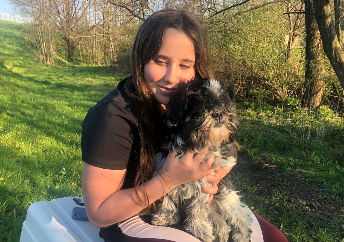 Unfassbar: Zum Einschläfern statt zum Hundefriseur gefahren!