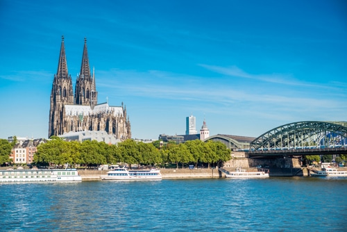 Zu Fuß von Marburg nach Köln – Gedenklauf mit drei Bullterriern