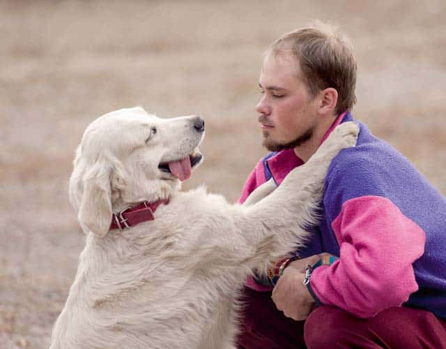 Hunde lesen Emotionen im Gesicht von Menschen