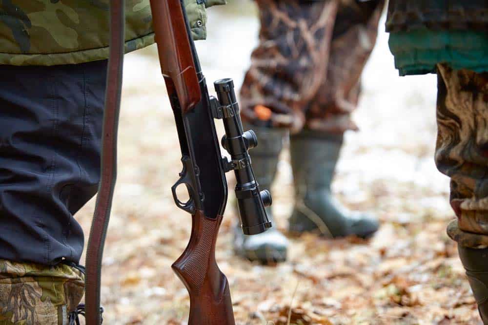 Prozess gegen Jäger – Zwei Hunde in der Oststeiermark erschossen