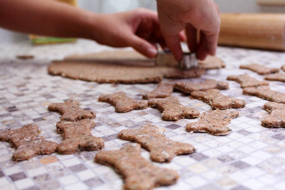 Spezialitäten für Bello: Bäckerei für Hunde in Italien eröffnet