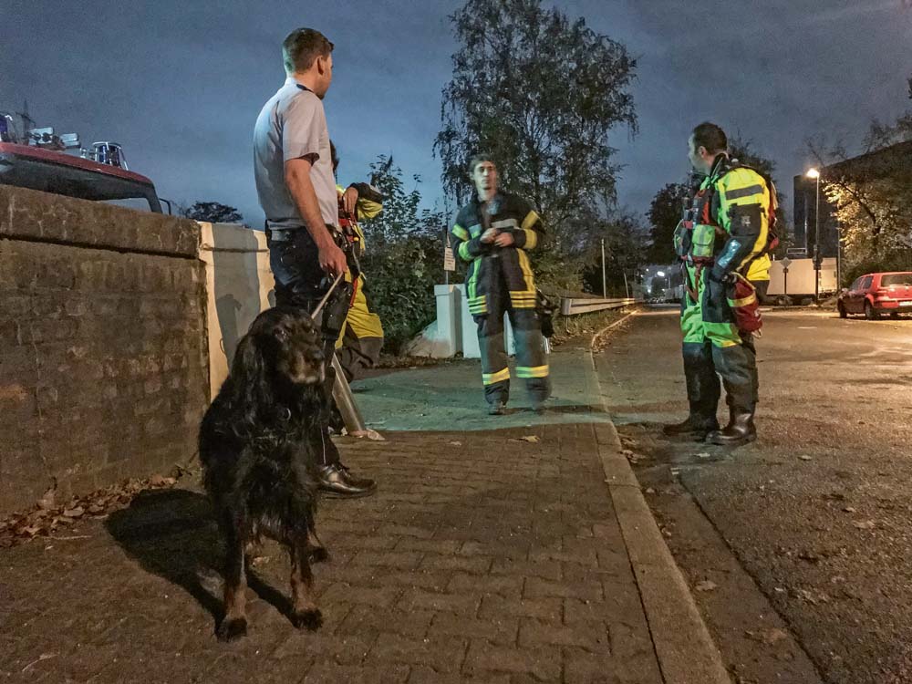 Feuerwehr rettet Hund aus Notlage in Hafenbecken