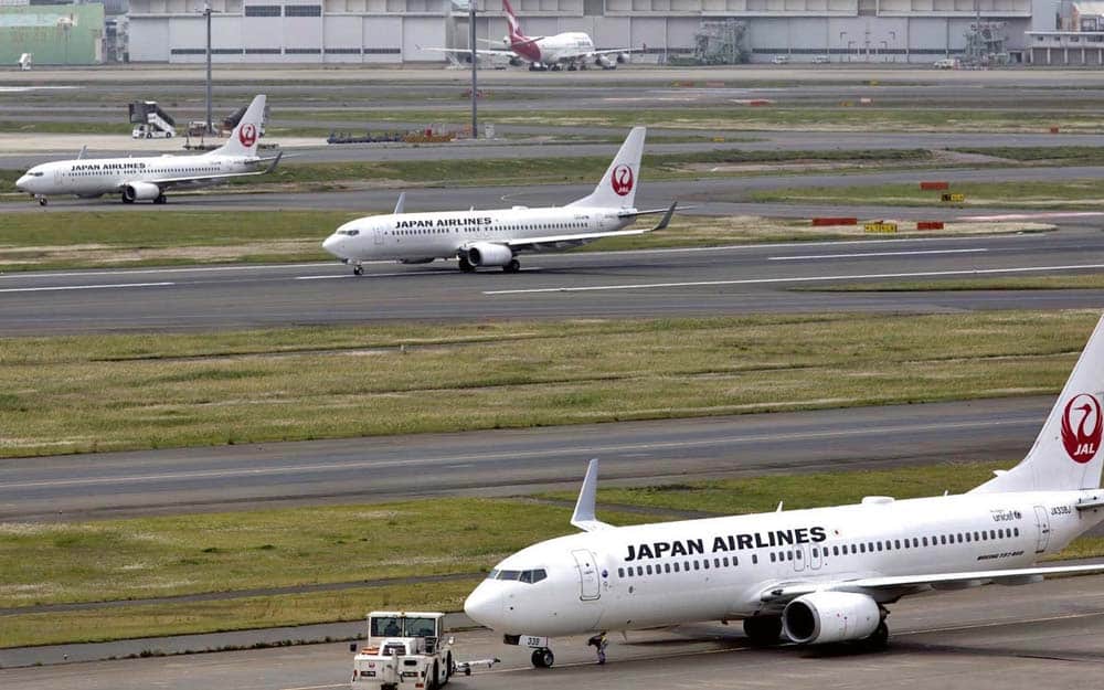 Pudel legte Tokioter Flughafen lahm