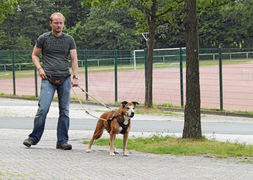 Der „Trainings-Spaziergang“ als Resozialisierungstherapie