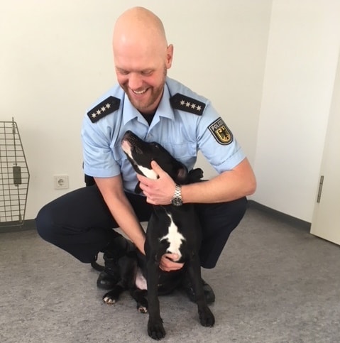 Polizei bittet um Mithilfe: Hund in Zugtoilette ausgesetzt