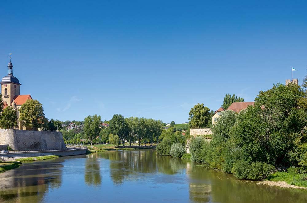 Jugendliche und Hund aus dem Neckar gerettet