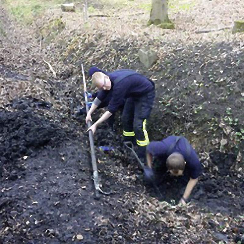 Hund bleibt in Schlammrohr stecken – gerettet