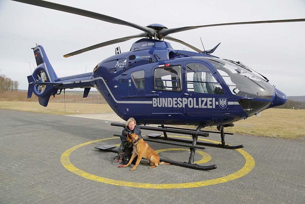 Diensthund übt Hubschrauber …