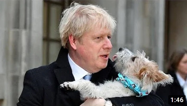“Romantische Triebe” seines Hundes bereiten Johnson Sorgen