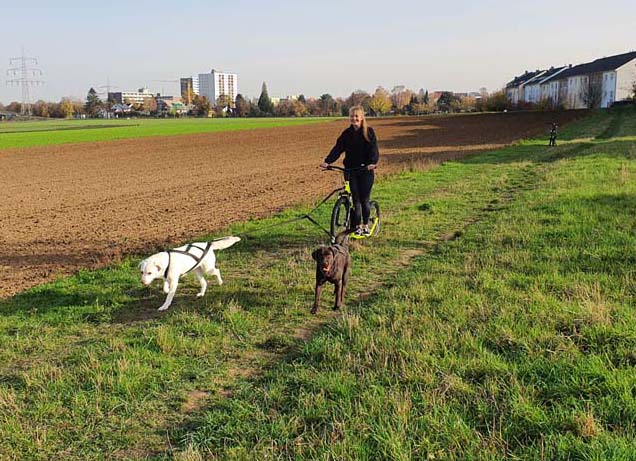 Dogscooting: Freizeit-Spaß für Zwei- und Vierbeiner